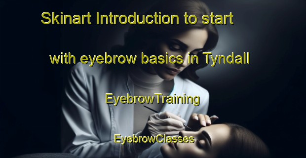 Skinart Introduction to start with eyebrow basics in Tyndall | EyebrowTraining | EyebrowClasses | SkinartTraining-Canada