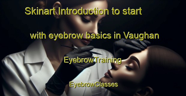 Skinart Introduction to start with eyebrow basics in Vaughan | EyebrowTraining | EyebrowClasses | SkinartTraining-Canada