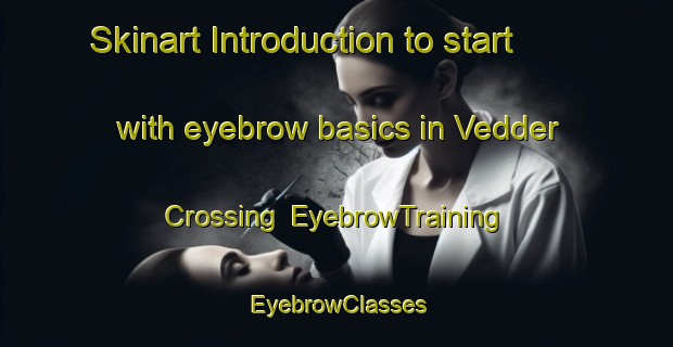Skinart Introduction to start with eyebrow basics in Vedder Crossing | EyebrowTraining | EyebrowClasses | SkinartTraining-Canada