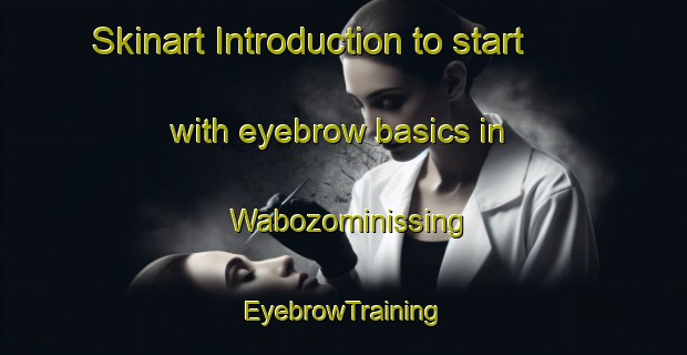 Skinart Introduction to start with eyebrow basics in Wabozominissing | EyebrowTraining | EyebrowClasses | SkinartTraining-Canada