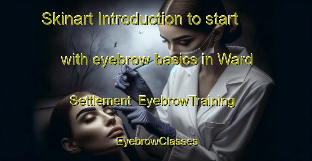 Skinart Introduction to start with eyebrow basics in Ward Settlement | EyebrowTraining | EyebrowClasses | SkinartTraining-Canada