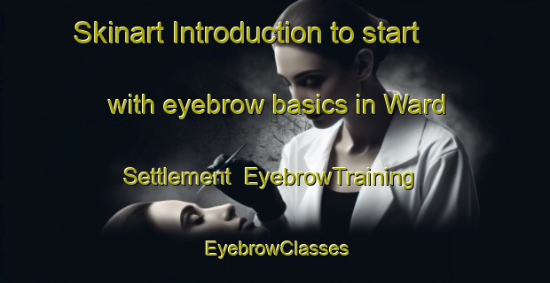 Skinart Introduction to start with eyebrow basics in Ward Settlement | EyebrowTraining | EyebrowClasses | SkinartTraining-Canada
