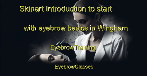 Skinart Introduction to start with eyebrow basics in Wingham | EyebrowTraining | EyebrowClasses | SkinartTraining-Canada