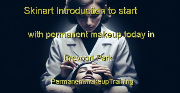 Skinart Introduction to start with permanent makeup today in Brevoort Park | PermanentmakeupTraining | PermanentmakeupClasses | SkinartTraining-Canada