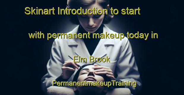 Skinart Introduction to start with permanent makeup today in Elm Brook | PermanentmakeupTraining | PermanentmakeupClasses | SkinartTraining-Canada