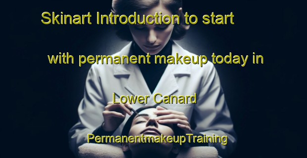 Skinart Introduction to start with permanent makeup today in Lower Canard | PermanentmakeupTraining | PermanentmakeupClasses | SkinartTraining-Canada