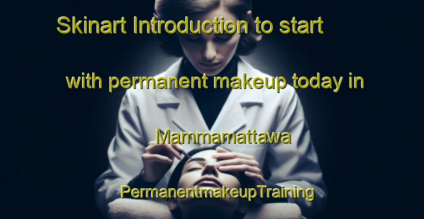 Skinart Introduction to start with permanent makeup today in Mammamattawa | PermanentmakeupTraining | PermanentmakeupClasses | SkinartTraining-Canada
