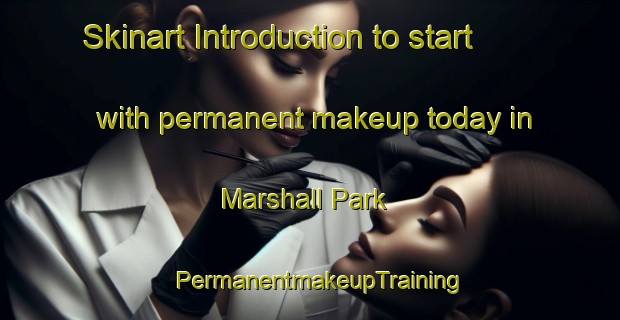 Skinart Introduction to start with permanent makeup today in Marshall Park | PermanentmakeupTraining | PermanentmakeupClasses | SkinartTraining-Canada