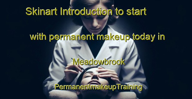 Skinart Introduction to start with permanent makeup today in Meadowbrook | PermanentmakeupTraining | PermanentmakeupClasses | SkinartTraining-Canada