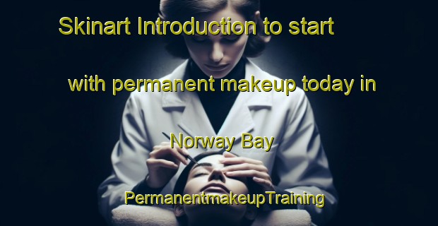 Skinart Introduction to start with permanent makeup today in Norway Bay | PermanentmakeupTraining | PermanentmakeupClasses | SkinartTraining-Canada