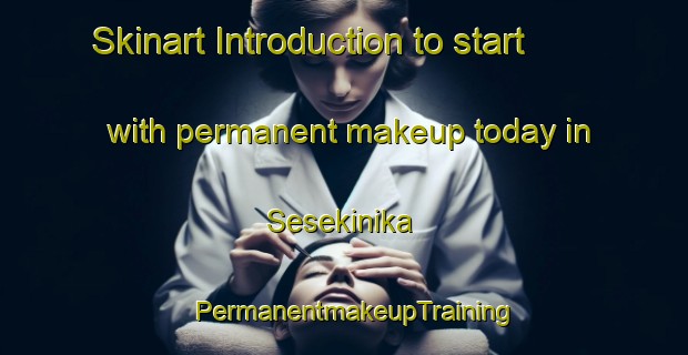 Skinart Introduction to start with permanent makeup today in Sesekinika | PermanentmakeupTraining | PermanentmakeupClasses | SkinartTraining-Canada