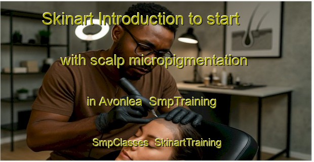 Skinart Introduction to start with scalp micropigmentation in Avonlea | SmpTraining | SmpClasses | SkinartTraining-Canada