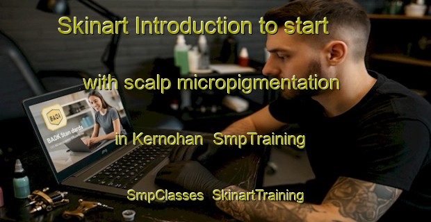 Skinart Introduction to start with scalp micropigmentation in Kernohan | SmpTraining | SmpClasses | SkinartTraining-Canada