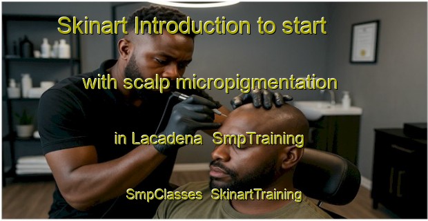 Skinart Introduction to start with scalp micropigmentation in Lacadena | SmpTraining | SmpClasses | SkinartTraining-Canada