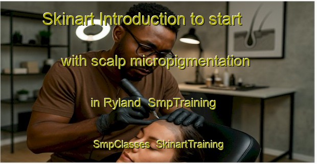 Skinart Introduction to start with scalp micropigmentation in Ryland | SmpTraining | SmpClasses | SkinartTraining-Canada