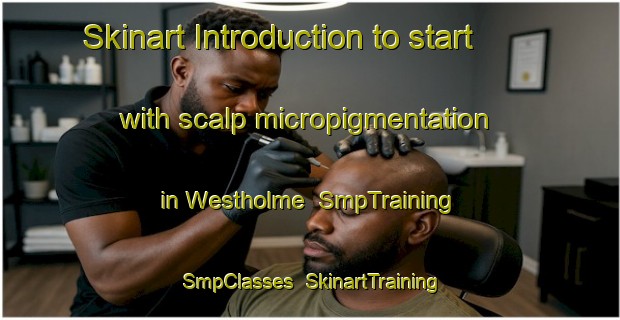 Skinart Introduction to start with scalp micropigmentation in Westholme | SmpTraining | SmpClasses | SkinartTraining-Canada