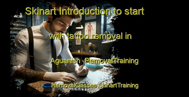 Skinart Introduction to start with tattoo removal in Aguanish | #RemovalTraining #RemovalClasses #SkinartTraining-Canada