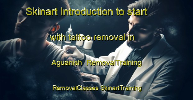 Skinart Introduction to start with tattoo removal in Aguanish | #RemovalTraining #RemovalClasses #SkinartTraining-Canada