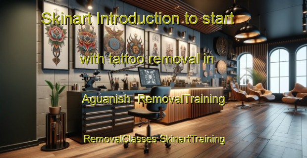 Skinart Introduction to start with tattoo removal in Aguanish | #RemovalTraining #RemovalClasses #SkinartTraining-Canada