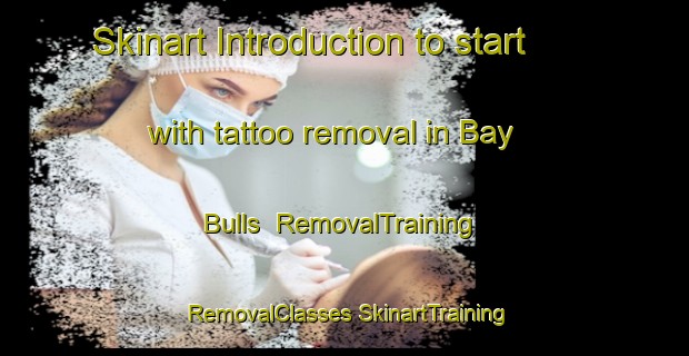 Skinart Introduction to start with tattoo removal in Bay Bulls | #RemovalTraining #RemovalClasses #SkinartTraining-Canada