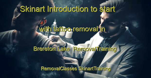 Skinart Introduction to start with tattoo removal in Brereton Lake | #RemovalTraining #RemovalClasses #SkinartTraining-Canada