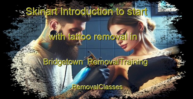 Skinart Introduction to start with tattoo removal in Bridgetown | RemovalTraining | RemovalClasses | SkinartTraining-Canada