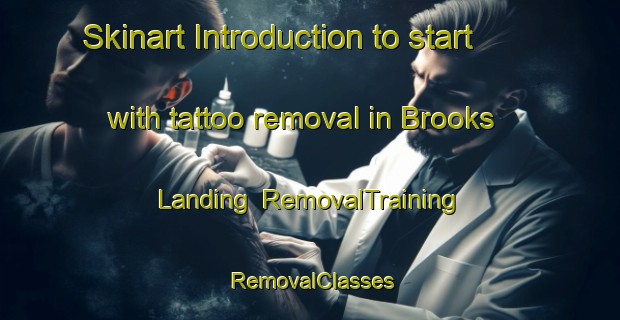 Skinart Introduction to start with tattoo removal in Brooks Landing | RemovalTraining | RemovalClasses | SkinartTraining-Canada