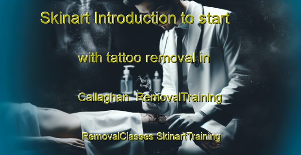 Skinart Introduction to start with tattoo removal in Callaghan | #RemovalTraining #RemovalClasses #SkinartTraining-Canada