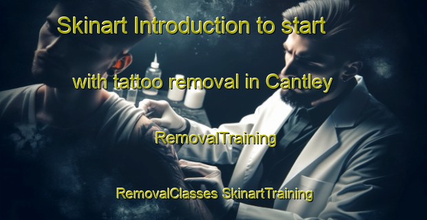 Skinart Introduction to start with tattoo removal in Cantley | #RemovalTraining #RemovalClasses #SkinartTraining-Canada