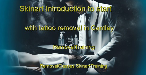 Skinart Introduction to start with tattoo removal in Cantley | #RemovalTraining #RemovalClasses #SkinartTraining-Canada