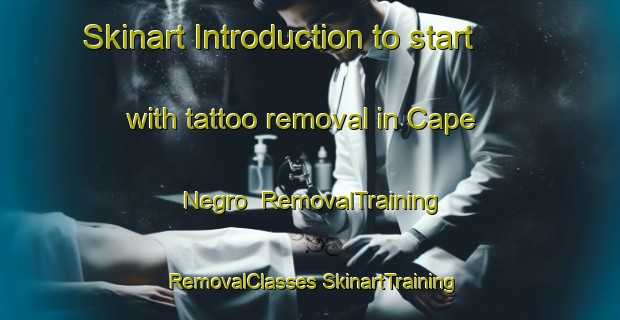 Skinart Introduction to start with tattoo removal in Cape Negro | #RemovalTraining #RemovalClasses #SkinartTraining-Canada