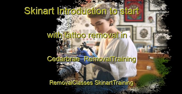 Skinart Introduction to start with tattoo removal in Cedarbrae | #RemovalTraining #RemovalClasses #SkinartTraining-Canada