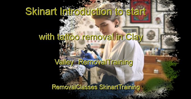 Skinart Introduction to start with tattoo removal in Clay Valley | #RemovalTraining #RemovalClasses #SkinartTraining-Canada