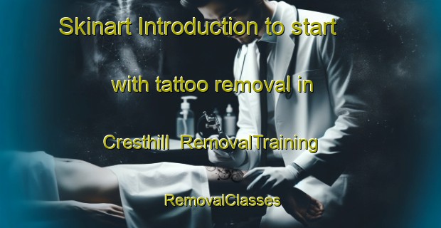Skinart Introduction to start with tattoo removal in Cresthill | RemovalTraining | RemovalClasses | SkinartTraining-Canada