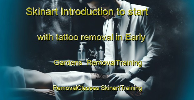 Skinart Introduction to start with tattoo removal in Early Gardens | #RemovalTraining #RemovalClasses #SkinartTraining-Canada