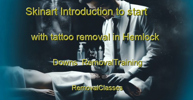 Skinart Introduction to start with tattoo removal in Hemlock Downs | RemovalTraining | RemovalClasses | SkinartTraining-Canada