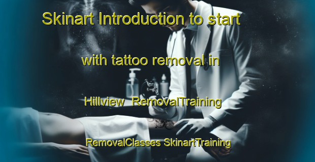 Skinart Introduction to start with tattoo removal in Hillview | #RemovalTraining #RemovalClasses #SkinartTraining-Canada