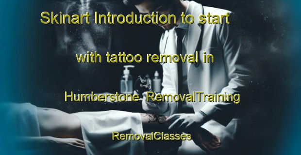 Skinart Introduction to start with tattoo removal in Humberstone | RemovalTraining | RemovalClasses | SkinartTraining-Canada