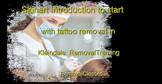 Skinart Introduction to start with tattoo removal in Kleindale | RemovalTraining | RemovalClasses | SkinartTraining-Canada