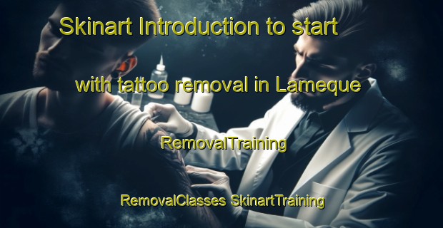 Skinart Introduction to start with tattoo removal in Lameque | #RemovalTraining #RemovalClasses #SkinartTraining-Canada