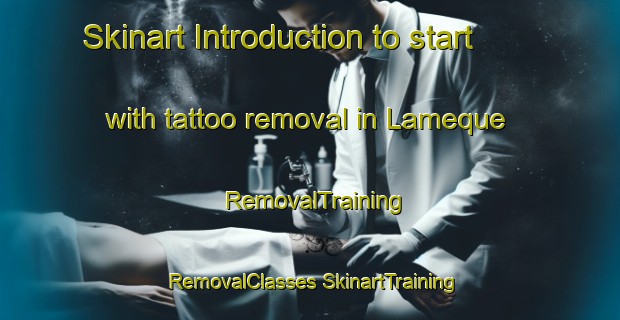 Skinart Introduction to start with tattoo removal in Lameque | #RemovalTraining #RemovalClasses #SkinartTraining-Canada