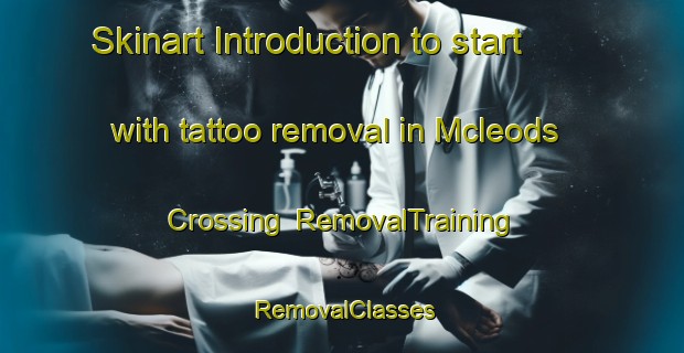 Skinart Introduction to start with tattoo removal in Mcleods Crossing | RemovalTraining | RemovalClasses | SkinartTraining-Canada