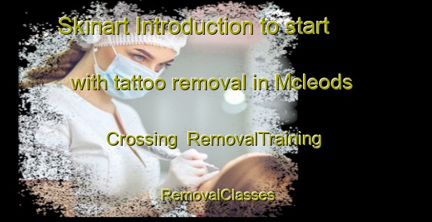Skinart Introduction to start with tattoo removal in Mcleods Crossing | RemovalTraining | RemovalClasses | SkinartTraining-Canada