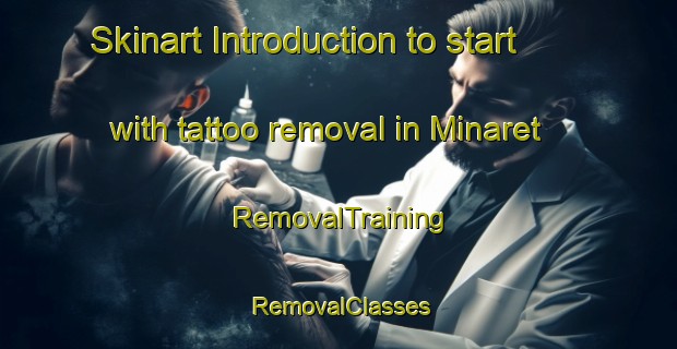 Skinart Introduction to start with tattoo removal in Minaret | RemovalTraining | RemovalClasses | SkinartTraining-Canada