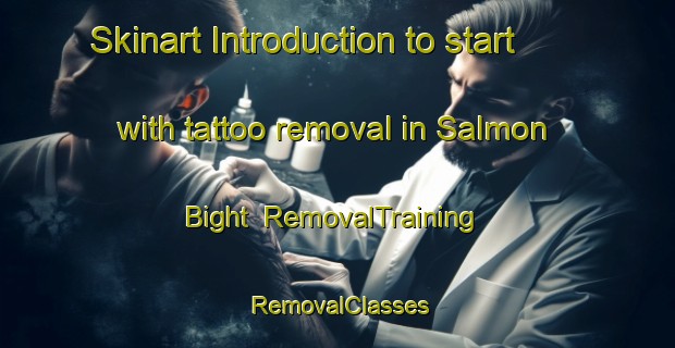 Skinart Introduction to start with tattoo removal in Salmon Bight | RemovalTraining | RemovalClasses | SkinartTraining-Canada