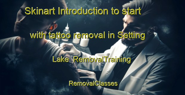 Skinart Introduction to start with tattoo removal in Setting Lake | RemovalTraining | RemovalClasses | SkinartTraining-Canada