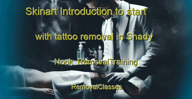 Skinart Introduction to start with tattoo removal in Shady Nook | RemovalTraining | RemovalClasses | SkinartTraining-Canada