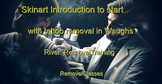 Skinart Introduction to start with tattoo removal in Waughs River | RemovalTraining | RemovalClasses | SkinartTraining-Canada