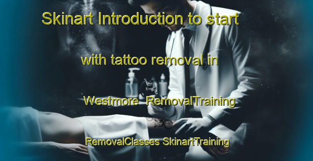 Skinart Introduction to start with tattoo removal in Westmore | #RemovalTraining #RemovalClasses #SkinartTraining-Canada