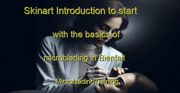 Skinart Introduction to start with the basics of microblading in Bienfait | MicrobladingTraining | MicrobladingClasses | SkinartTraining-Canada